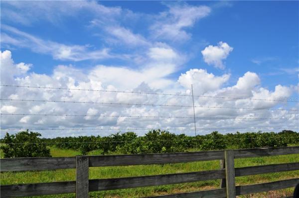 LILY FERTILE FARMS 02-4