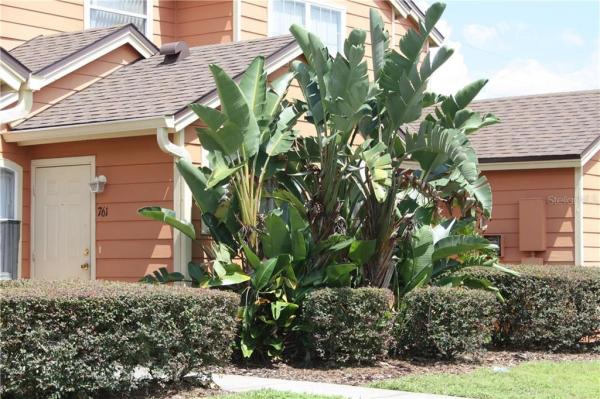 ISLAND CLUB WEST PH 02