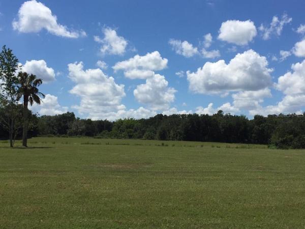 ALAFIA RIDGE ESTATES