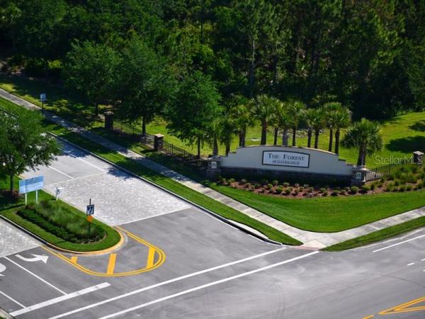 FOREST AT THE HI HAT RANCH