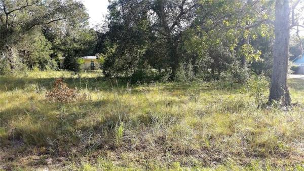 ORANGE BLOSSOM HILLS 12