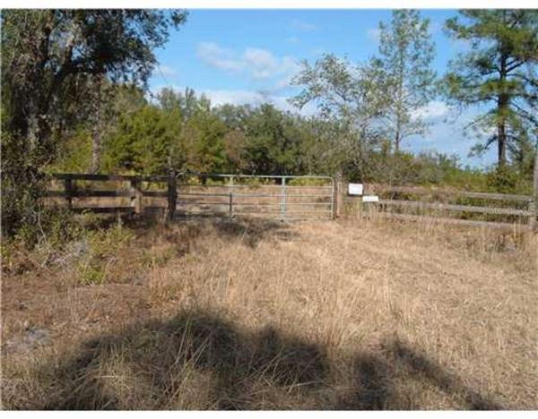 VOLUSIA FOREST CLUB #17