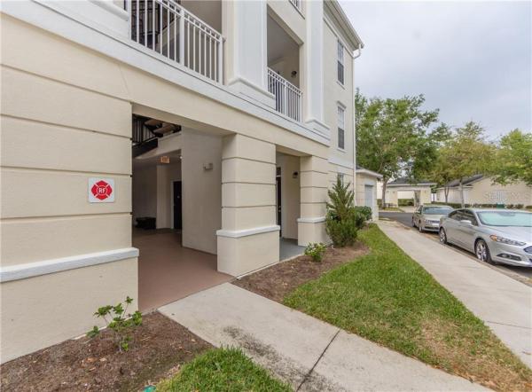 GEORGETOWN/CELEBRATION