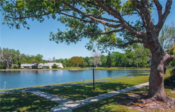 PINE RIDGE AT LAKE TARPON VILLAGE