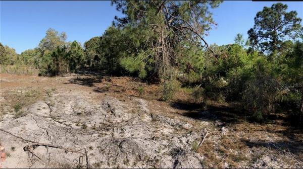 PORT CHARLOTTE SUB 14