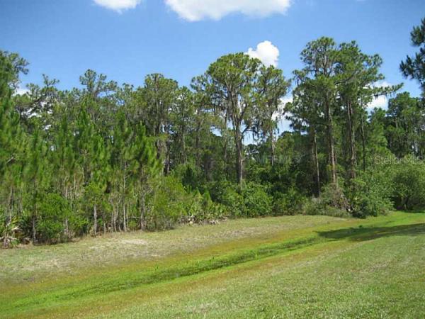 FOXWOOD AT PANTHER RIDGE
