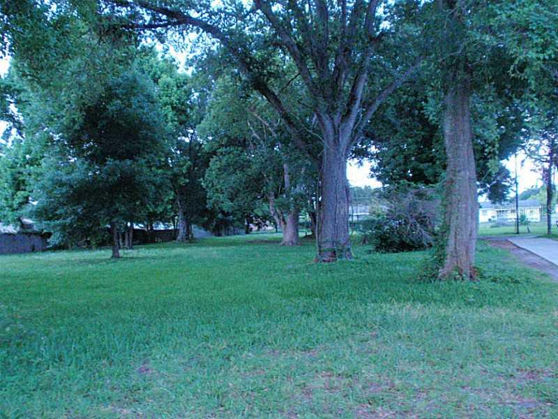 HOLT CHAUNCEY - фото