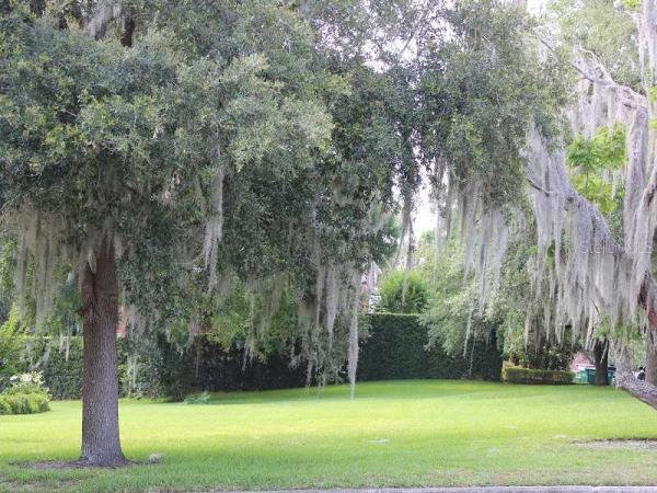 SICILIAN SHORES 2ND REP