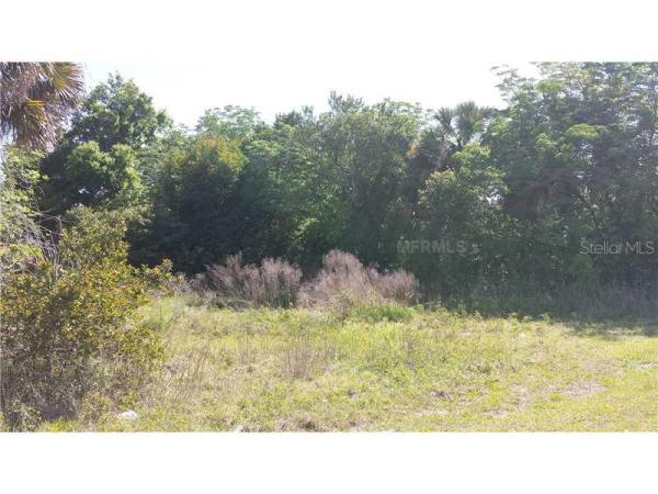 WEKIVA FOREST TRAILS