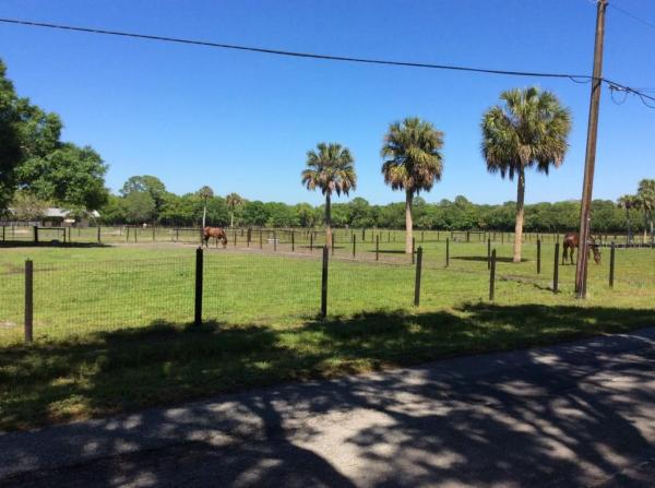 OLDSMAR FARM 03