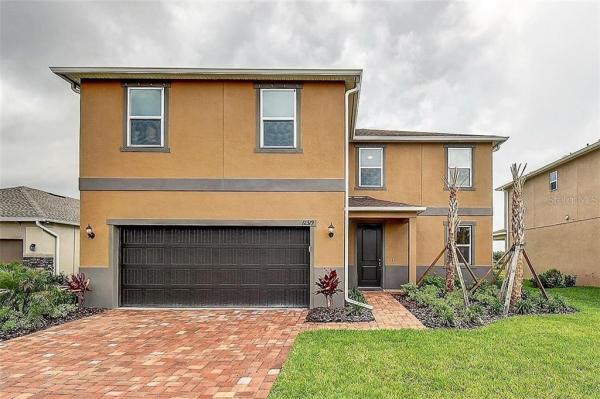 WILD FERN AT TRINITY LAKES