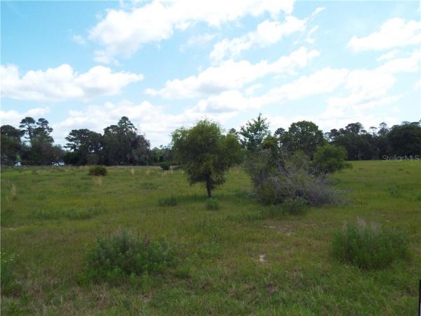 TWIN LAKES RANCHETTES