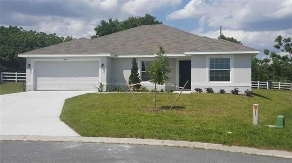 FRUITLAND PARK CHELSEAS RUN