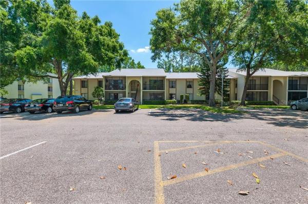 PINE RIDGE AT LAKE TARPON VILLAGE