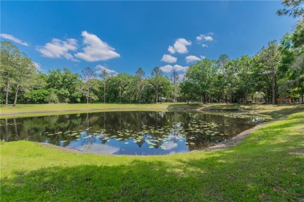 REEDS LIVINGSTON AVE MINOR SURV