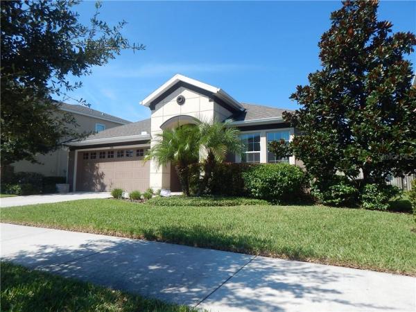 STARLING AT FISHHAWK