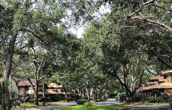 LAUREL OAKS AT COUNTRY WOODS CONDO