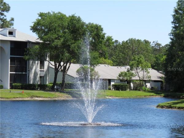 PINE RIDGE AT LAKE TARPON VILLAGE