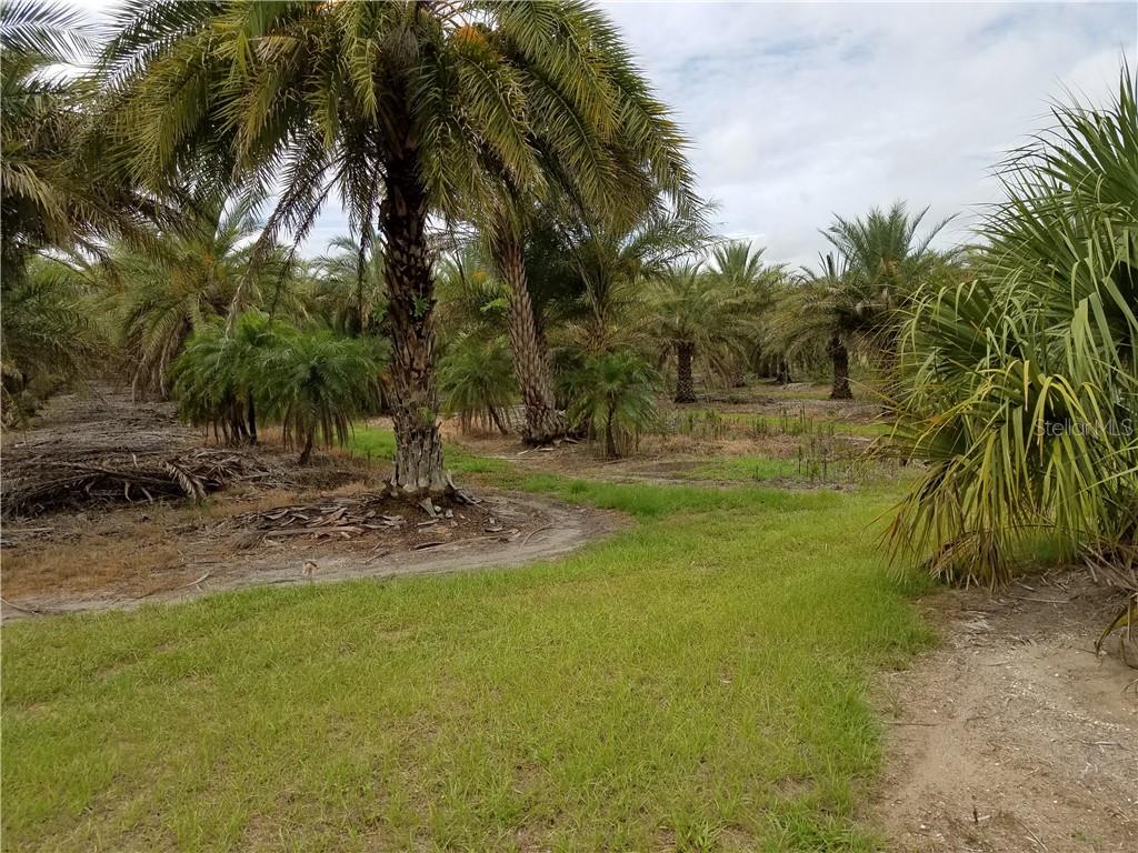 RUSKIN COLONY FARMS 3RD ADDITION - фото