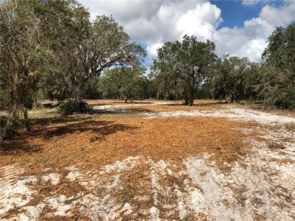 ESTATES AT LAKE BUFFUM