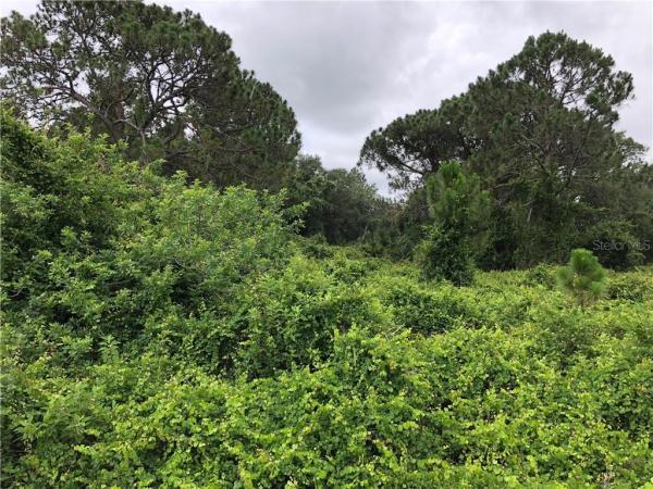 PORT CHARLOTTE SUB 36