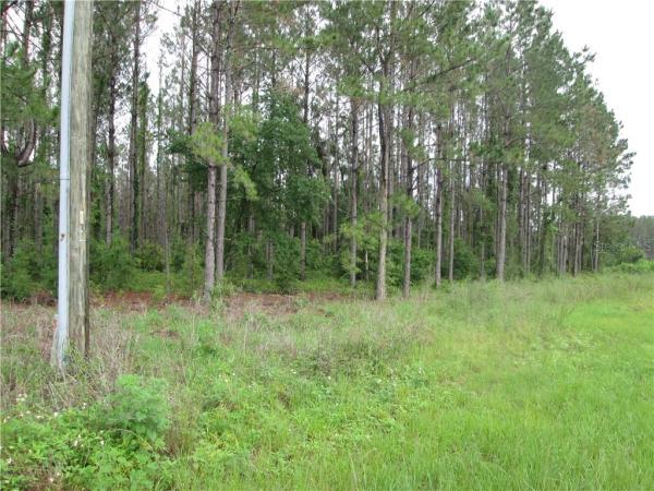 GROVELAND FARMS 33-22-25