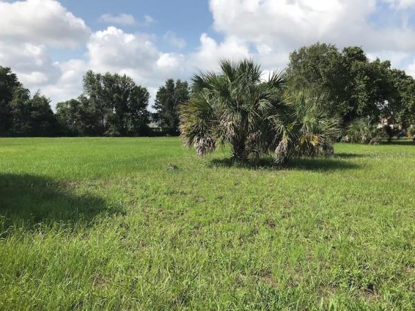 UNIVERSITY WOODS A CONDO