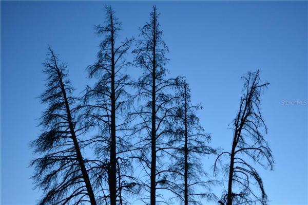 PORT CHARLOTTE SEC 085