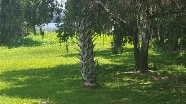 DEER ISLAND CLUB PT REP A TR C-1