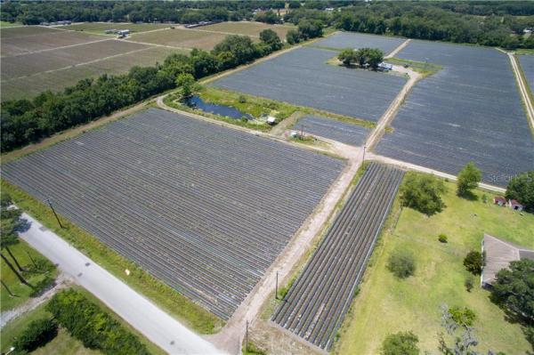 VALRICO WOODLAND PLATTED