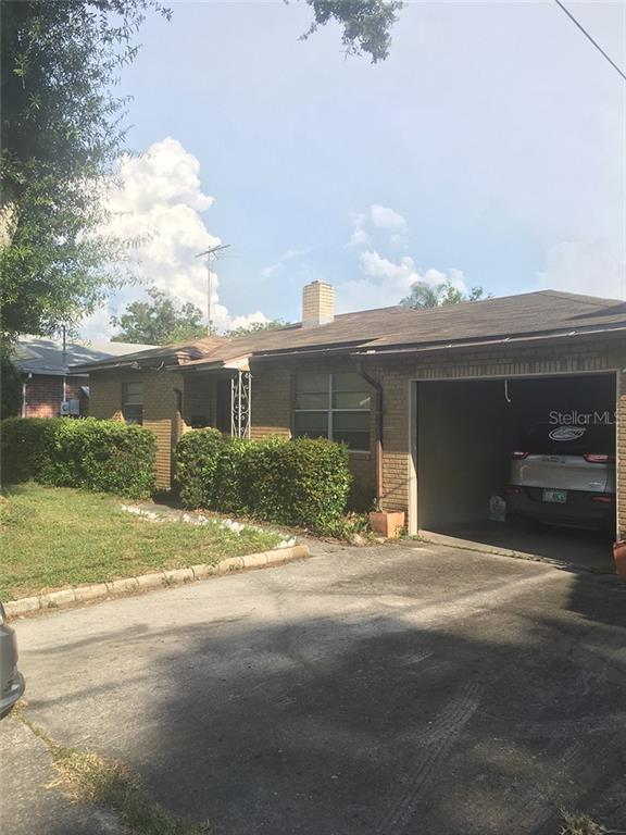 MINNEOLA - фотография MINNEOLA - фото