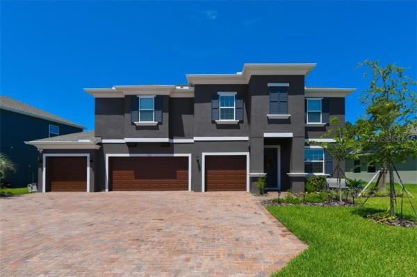 OAKLEAF HAMMOCK PH V