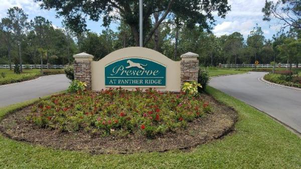 PRESERVE AT PANTHER RIDGE PH V