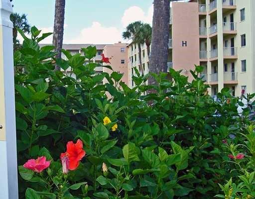 BAYSHORE ON THE LAKE CONDO APTS