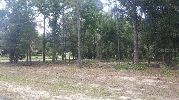 ORANGE BLOSSOM HILLS UN 07