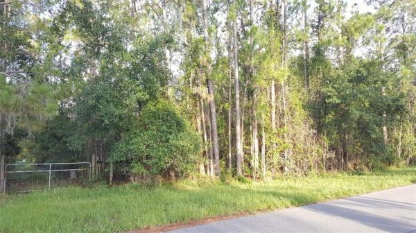 SEMINOLE LAND & INV CO