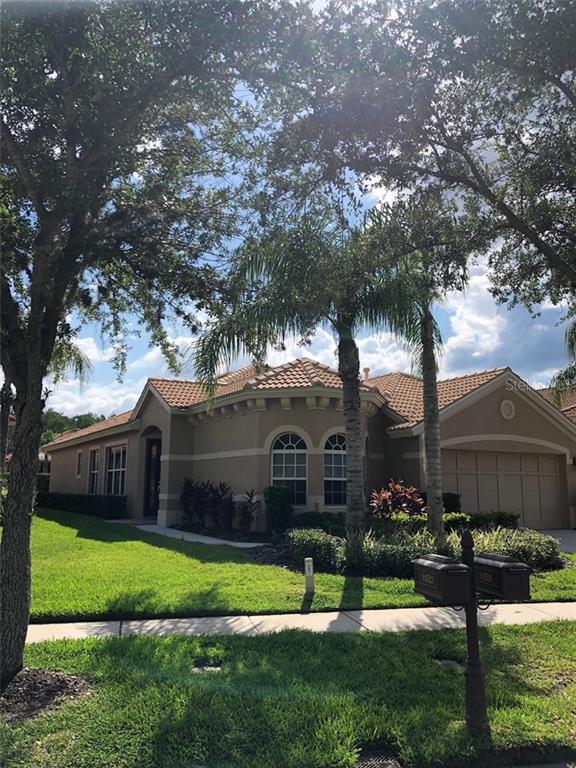 WATERCHASE - фото