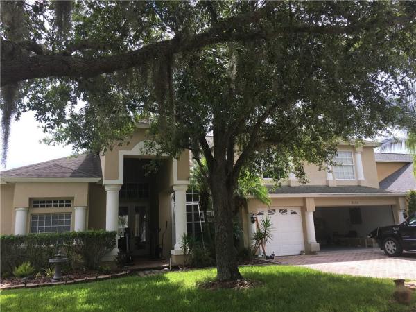 TAMPA PALMS AREA 04 REP