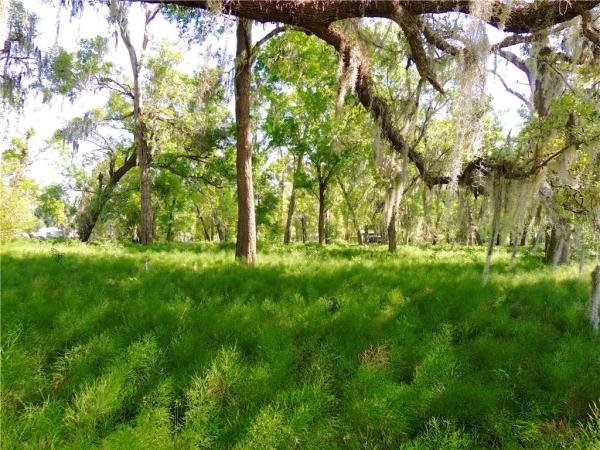 LEVY GRANT MOSES E ASSESSORS REV MAP