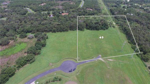 FOREST AT THE HI HAT RANCH