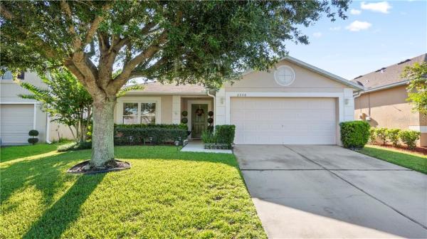 TAVARES MARTINS GROVE