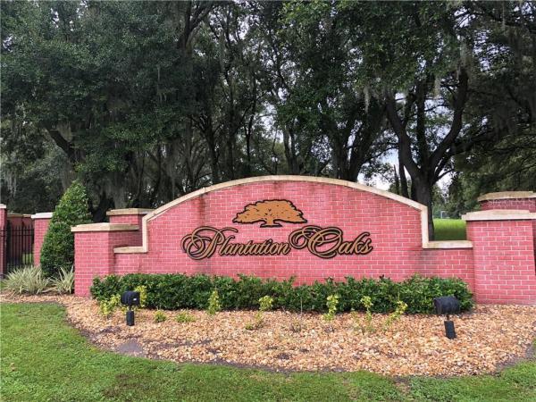 PLANTATION OAKS