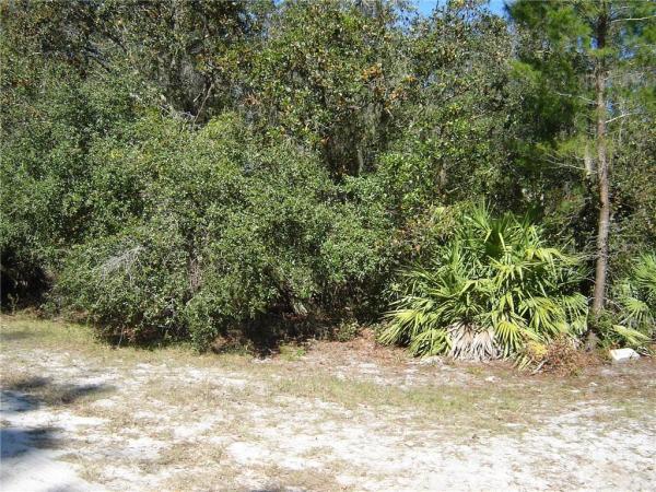 COCKRAN FOREST 5 ACRE DEV 21 PARCELS