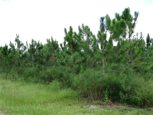 POSTAL COLONY 26-23-25