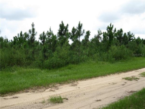 POSTAL COLONY 26-23-25