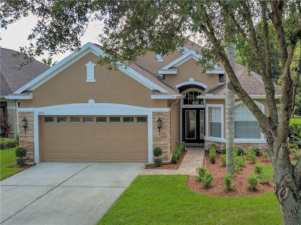 MANDOLIN PH 01 - фото