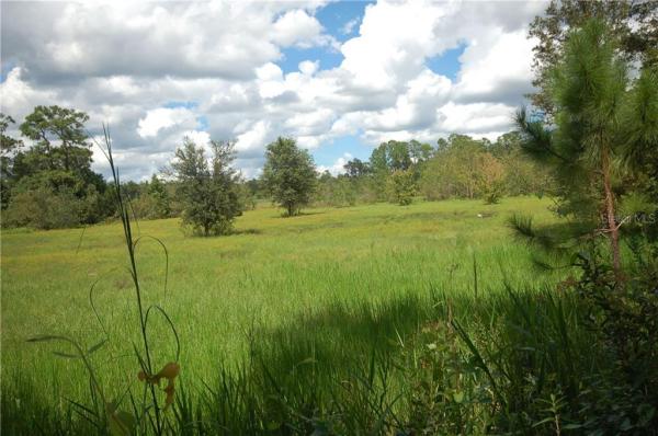 ASSESSORS LT 06 & 07 13 01 29