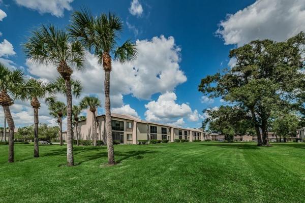 EAST LAKE WOODLANDS CONDO