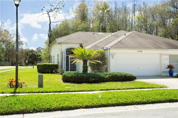 SUMMERTREE 01A PH 01