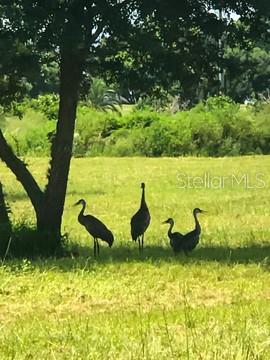 POSTAL COLONY 26-23-25A